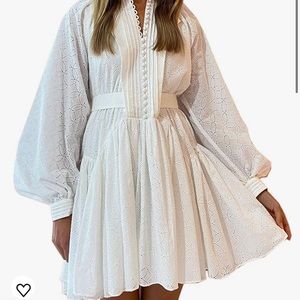 Roiii White A-Line Lace Button Down Long Sleeve V Neck Embroidery Short Dress